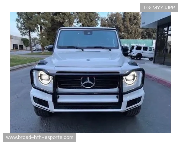 美墨碧根果为何被调查?看这份解读,美国碧根果树 美墨碧根果为何被调查?看这份解读,美国碧根果树